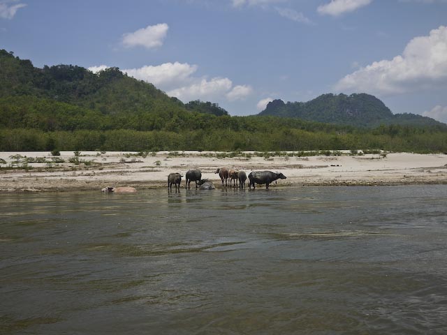 P1120850