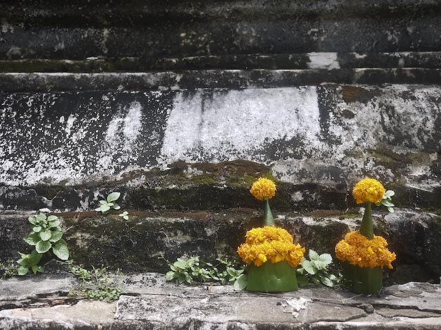 P1120923