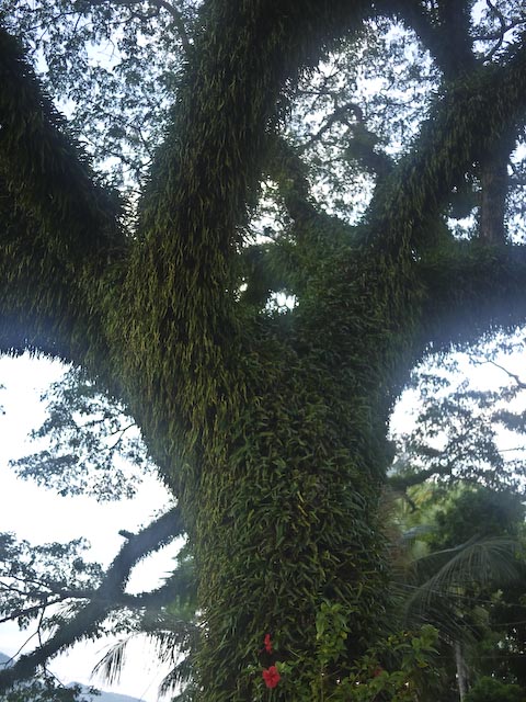 P1130089
