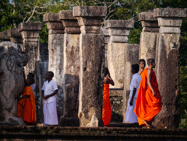Defeated by rice and&nbsp;curry