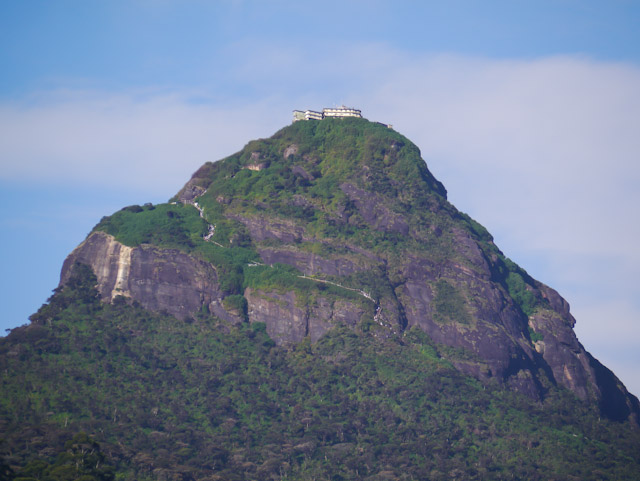 I vant to suck your blood.&nbsp;!