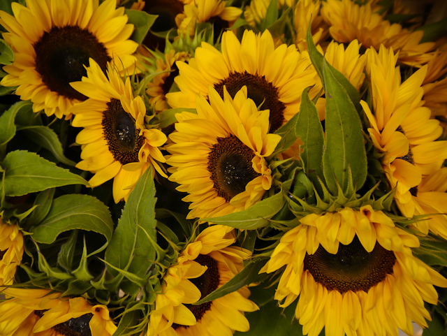 Columbia Rd flower&nbsp;market.