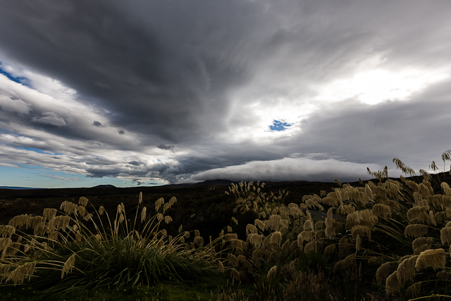 A very short North island road&nbsp;trip.
