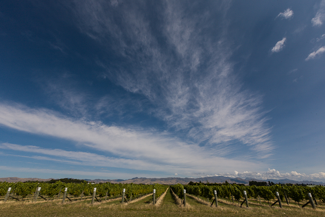 Top O’ the South, South Island,&nbsp;NZ