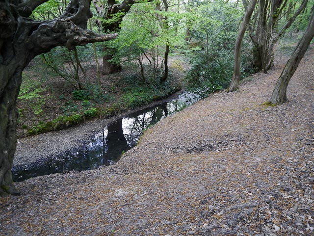 Following the Ching.