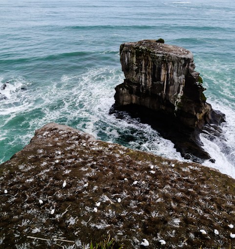 Ten days in New&nbsp;Zealand.