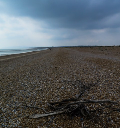 Rye Nature Reserve and Camber&nbsp;Castle.