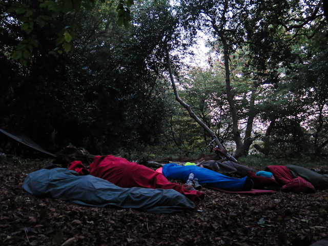 an Epping Forest&nbsp;sleepout.