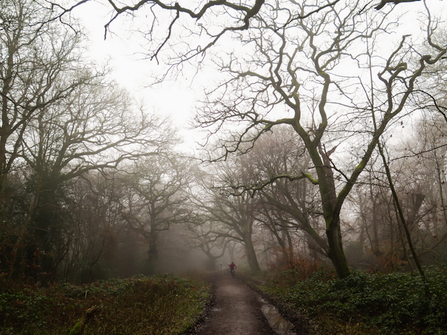 A new year shakedown Epping Forest mountain bike&nbsp;ride.