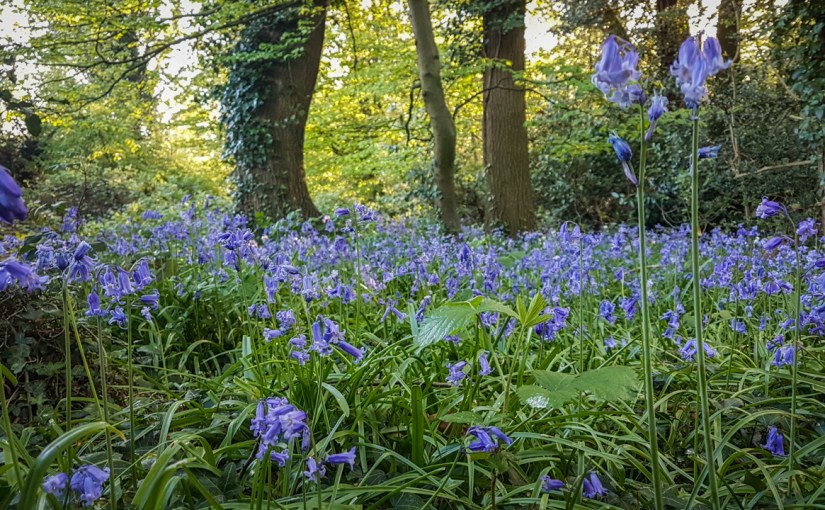 The new way. Week&nbsp;five.