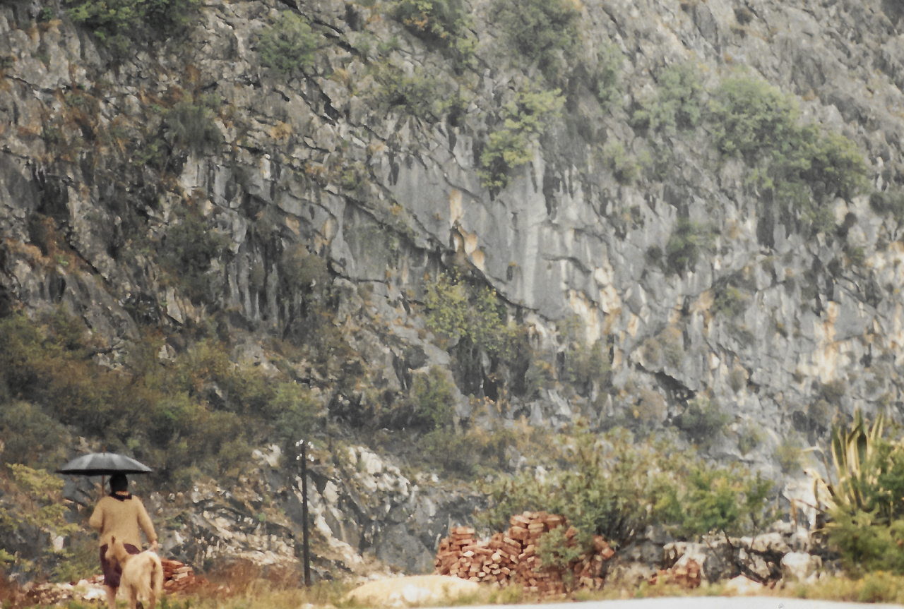 Nov 1987 Woman walking goat