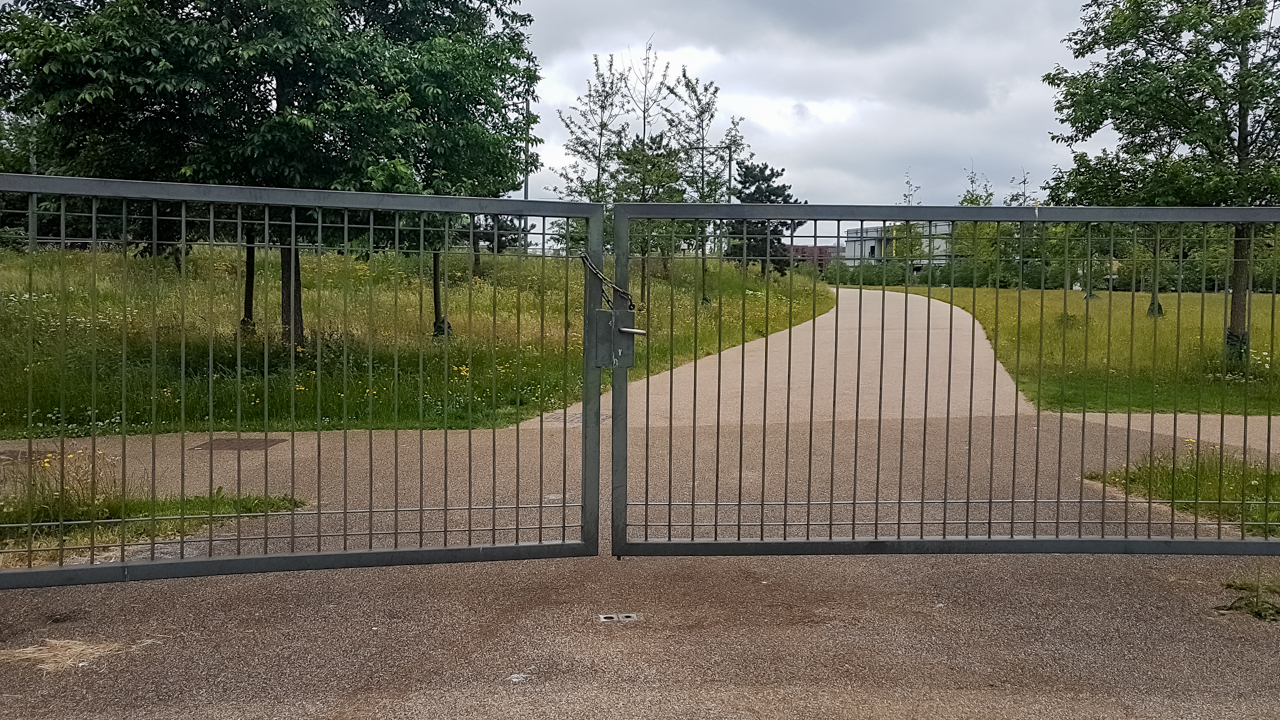 Copy of 20210611_102944