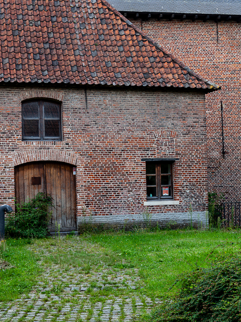 IMG_5367