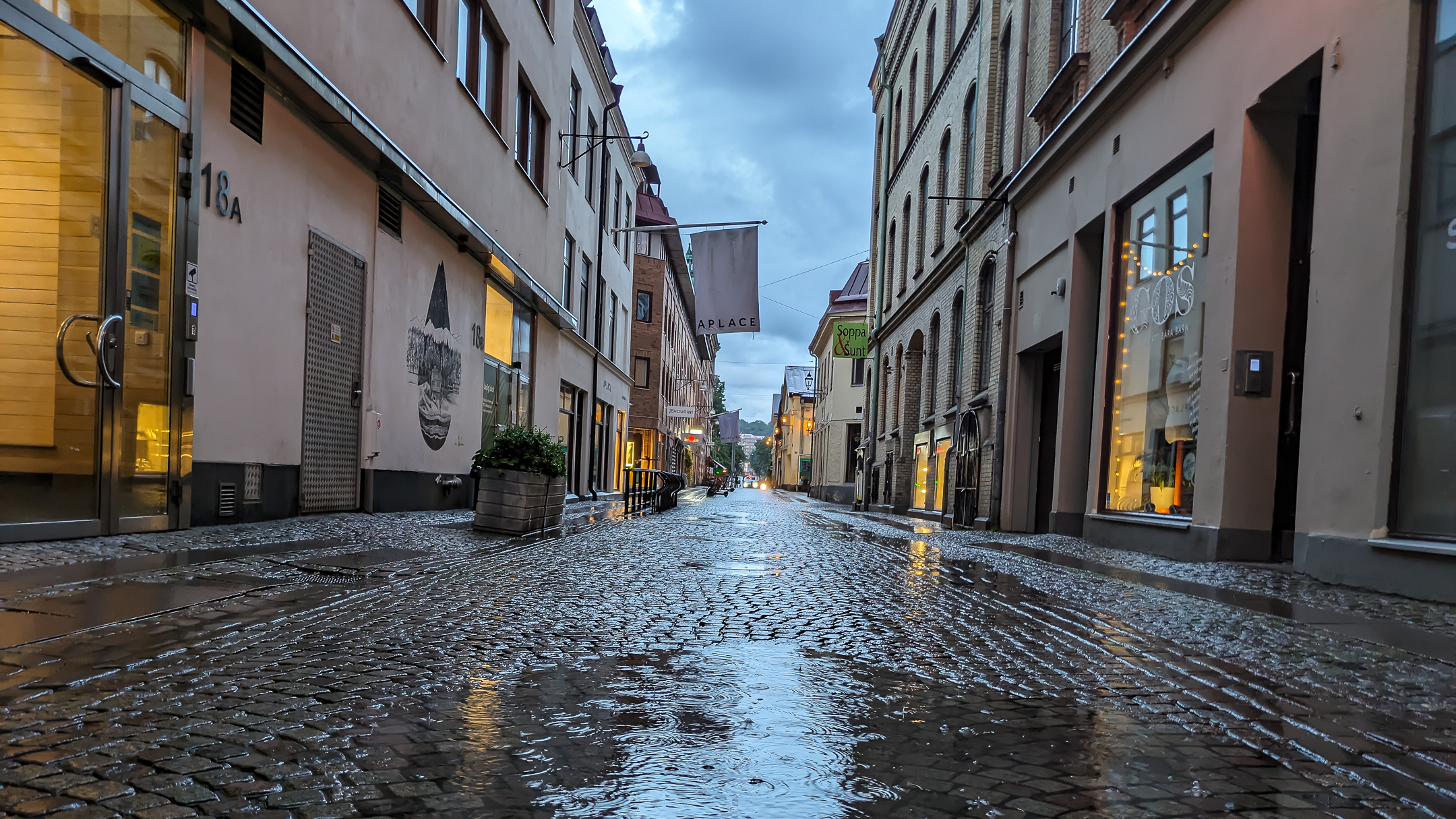 PXL_20240613_195850126