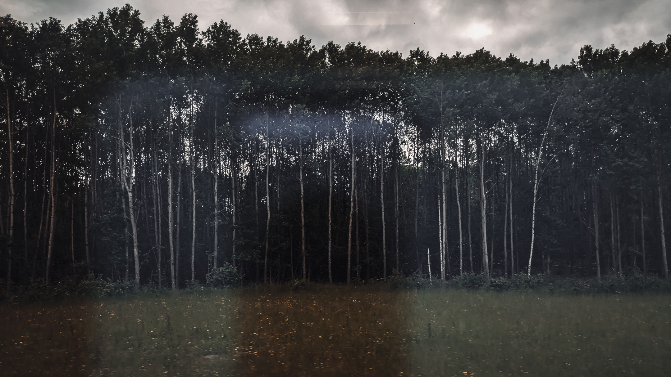 PXL_20240614_111923454.MP