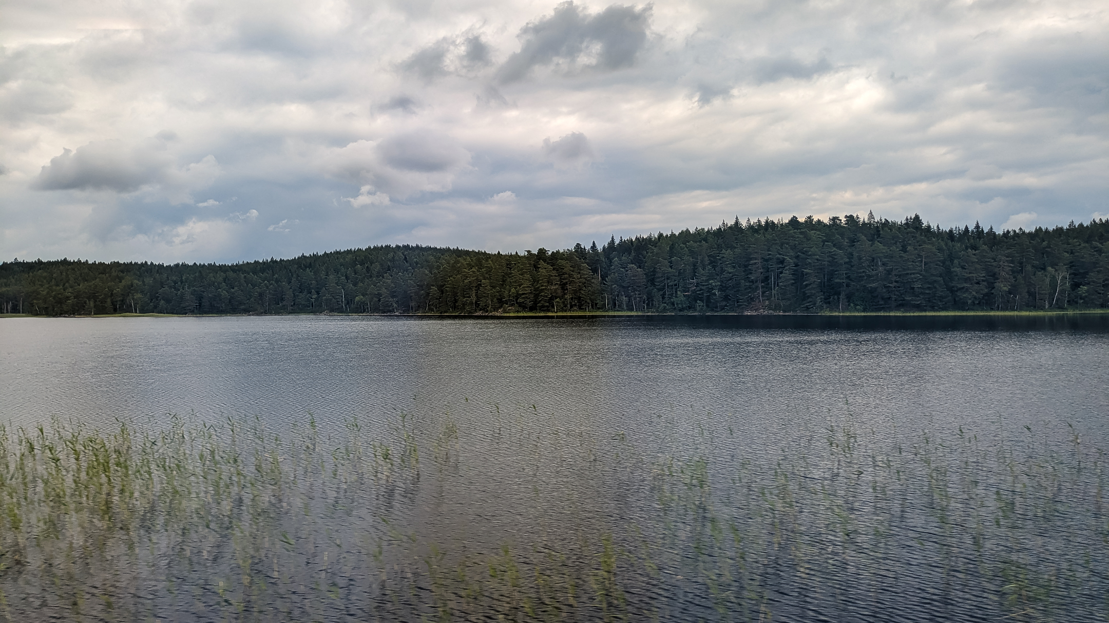 PXL_20240614_113641312