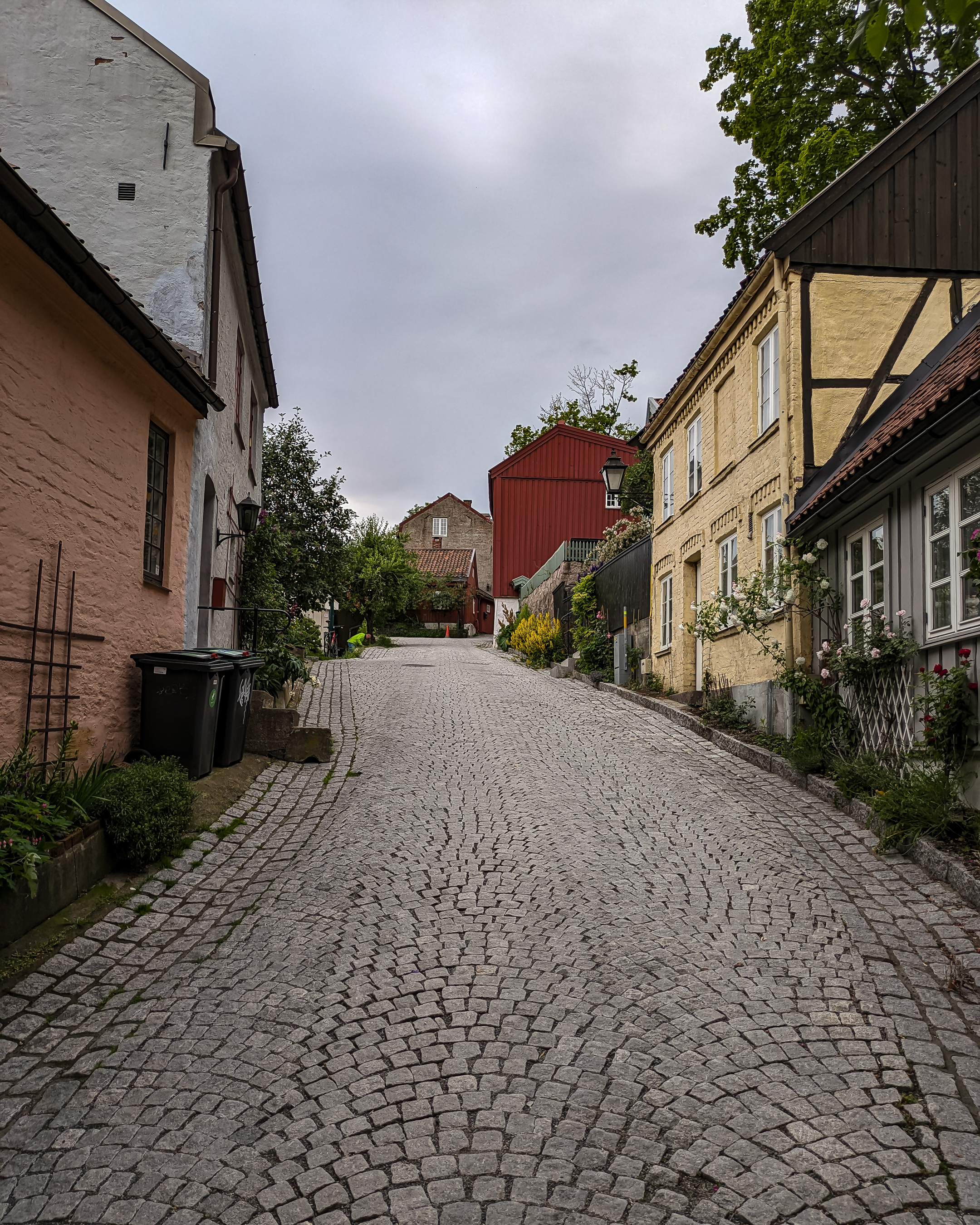 PXL_20240615_161409039