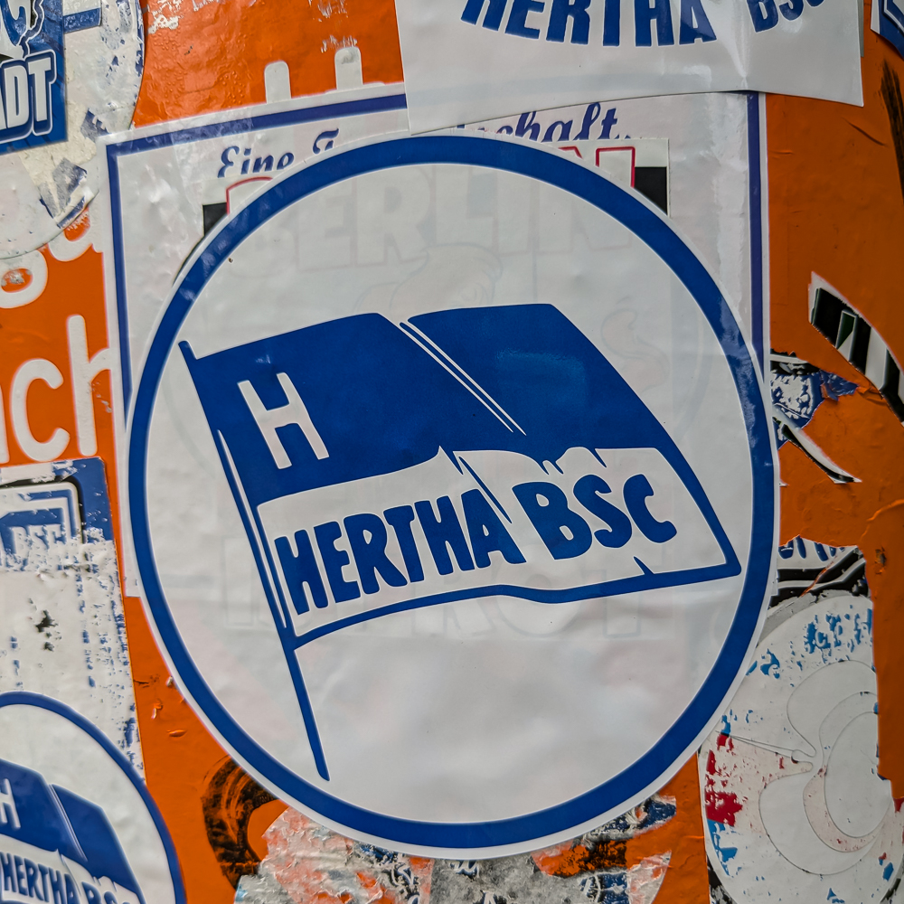 PXL_20241005_090844322