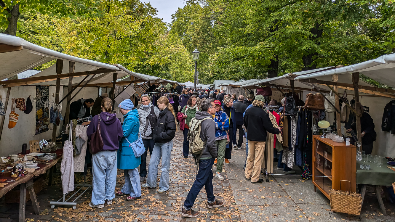 PXL_20241006_084032303