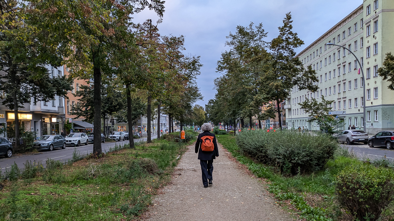 PXL_20241006_161009009